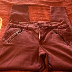 Burgundy pants